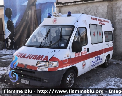 Fiat Ducato II serie 
Croce Rossa Italiana 
Comitato di Ovindoli 
Unità Trasporto Veterinario 
Allestimento Bollanti 
CRI 15645
Parole chiave: Fiat Ducato_IIserie Ambulanza CRI15645