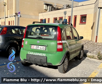 Fiat Nuova Panda 4x4 Climbing I serie 
Carabinieri 
Comando Carabinieri Unità per la Tutela Forestali Ambientale ed Agroalimentare 
Stazione Parco Nazionale del Gran Sasso e Monti della Laga 
CC DM 446
Parole chiave: Fiat Nuova_Panda_4x4_Climbing_Iserie CCDM446