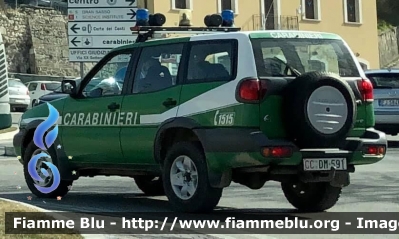 Nissan Terrano II serie restyle 
Carabinieri 
Comando Carabinieri Unità per la Tutela Forestale Ambientale ed Agroalimentare 
CC DM 591
Parole chiave: Nissan Terrano_IIserie_restyle CCDM591