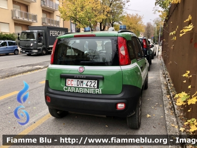 Fiat Nuova Panda 4x4 II serie 
Carabinieri 
Comando Carabinieri unità per la tutela Forestale Ambientale ed Agroalimentare 
Allestimento Elevox 
CC DM 422
Parole chiave: Fiat Nuova_Panda_4x4_IIserie CCDM422