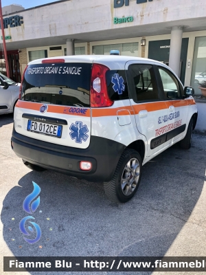 Fiat nuova Panda van 4x4 II serie 
ASL n1 Avezzano Sulmona L’Aquila 
Trasporto organi e sangue 
Allestimento ODONE 
Parole chiave: Fiat nuova panda asl n1 Avezzano Sulmona L’Aquila