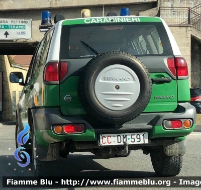 Nissan Terrano II serie restyle 
Carabinieri 
Comando Carabinieri Unità per la Tutela Forestale Ambientale ed Agroalimentare 
CC DM 591
Parole chiave: Nissan Terrano_IIserie_restyle CCDM591