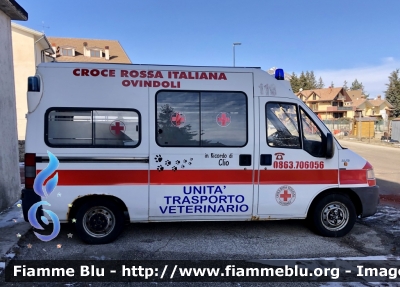 Fiat Ducato II serie 
Croce Rossa Italiana 
Comitato di Ovindoli 
Unità Trasporto Veterinario 
Allestimento Bollanti 
CRI 15645
Parole chiave: Fiat Ducato_IIserie Ambulanza CRI15645