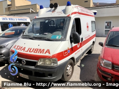 Fiat Ducato III serie 
Croce Rossa Italiana 
Comitato di Lecce Dei Marsi 
Allestimento Orion 
CRI A572B 
Parole chiave: Fiat Ducato_IIIserie CRIA572B