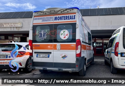 Fiat Ducato X290
Pubblica Assistenza di Montereale 
Allestimento ODONE 
Parole chiave: Fiat Ducato_X290 Ambulanza