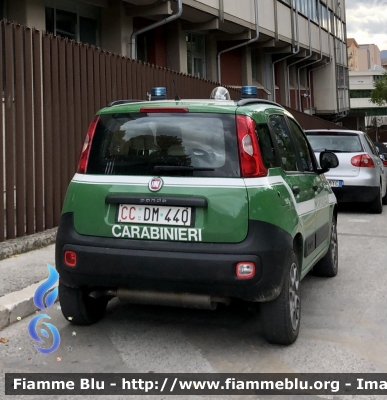 Fiat Nuova Panda 4x4 II serie 
Carabinieri 
Comando Carabinieri unità per la tutela Forestale Ambientale ed Agroalimentare 
Allestimento Elevox 
CC DM 440 
Parole chiave: Fiat Nuova_Panda_4x4_IIserie CCDM440