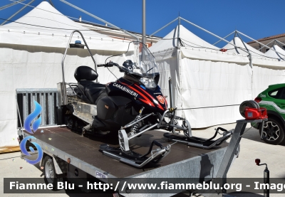 Yamaha Venture Multi Purpose
Carabinieri
Soccorso Alpino

Parole chiave: Yamaha Venture_Multi_Purpose