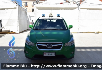 Subaru XV I serie
Carabinieri
Comando Carabinieri Unità per la Tutela Forestale Ambientale ed Agroalimentare
Allestimento Bertazzoni
CC DM 613
Parole chiave: Subaru XV_Iserie CCDM613