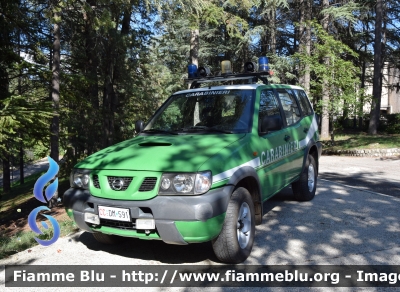 Nissan Terrano II serie restyle
Carabinieri
Comando Carabinieri Unità per la Tutela Forestale Ambientale ed Agroalimentare 
CC DM 591
Parole chiave: Nissan Terrano_IIserie_restyle CCDM591