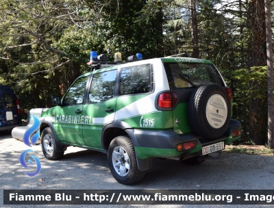 Nissan Terrano II serie restyle
Carabinieri
Comando Carabinieri Unità per la Tutela Forestale Ambientale ed Agroalimentare 
CC DM 591
Parole chiave: Nissan Terrano_IIserie_restyle CCDM591