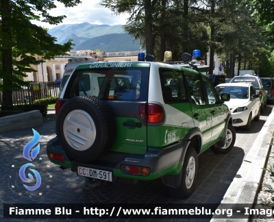 Nissan Terrano II serie restyle
Carabinieri 
Comando Carabinieri Unità per la Tutela Forestale Ambientale ed Agroalimentare
CC DM 591
Parole chiave: Nissan Terrano_IIserie_restyle CCDM591