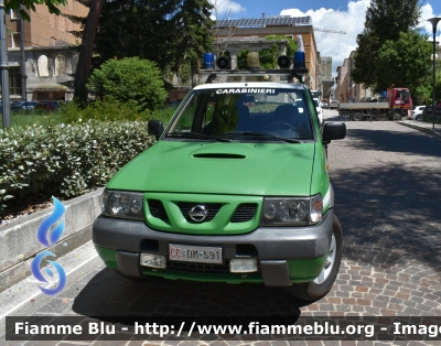 Nissan Terrano II serie restyle
Carabinieri 
Comando Carabinieri Unità per la Tutela Forestale Ambientale ed Agroalimentare
CC DM 591
Parole chiave: Nissan Terrano_IIserie_restyle CCDM591