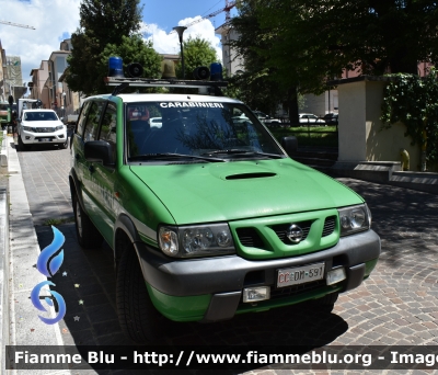 Nissan Terrano II serie restyle
Carabinieri 
Comando Carabinieri Unità per la Tutela Forestale Ambientale ed Agroalimentare
CC DM 591
Parole chiave: Nissan Terrano_IIserie_restyle CCDM591