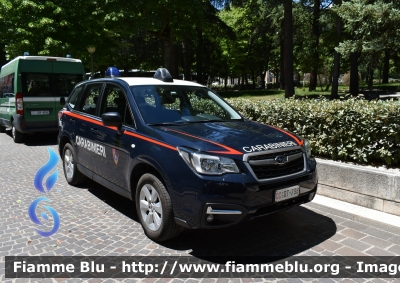 Subaru Forester VI serie
Carabinieri 
Comando Carabinieri Unità per la Tutela Forestale Ambientale ed Agroalimentare 
Allestimento Cita Seconda
CC DT 738

Parole chiave: Subaru Forester_VIserie CCDT738