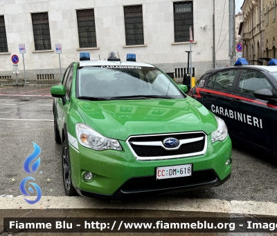 Subaru XV I serie
Carabinieri 
Comando Carabinieri unità per la tutela Forestale Ambientale ed Agroalimentare 
Allestimento Bertazzoni 
CC DM 618
Parole chiave: Subaru XV_Iserie CCDM618