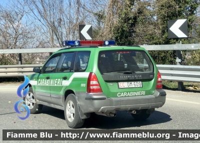 Subaru Forester III serie 
Carabinieri 
Comando Carabinieri unità per la tutela Forestale Ambientale ed Agroalimentare 
CC DM 609
Parole chiave: Subaru Forester_IIIserie CCDM609