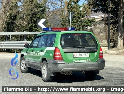 Subaru Forester III serie 
Carabinieri 
Comando Carabinieri unità per la tutela Forestale Ambientale ed Agroalimentare 
CC DM 609
Parole chiave: Subaru Forester_IIIserie CCDM609