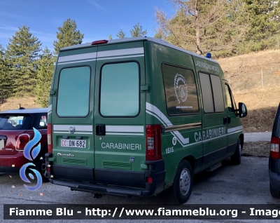 Fiat Ducato III serie 
Carabinieri 
Comando Carabinieri unità per la tutela Forestale Ambientale ed Agroalimentare 
Reparto Carabinieri Biodiversità L’Aquila 
Laboratorio Mobile 
CC DN 682
Parole chiave: Fiat Ducato_IIIserie CCDN682