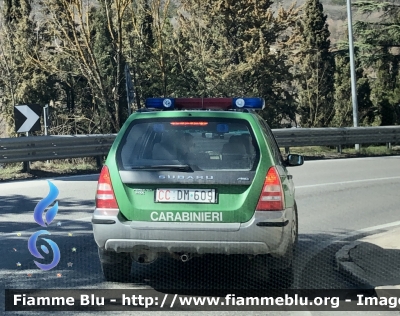 Subaru Forester III serie 
Carabinieri 
Comando Carabinieri unità per la tutela Forestale Ambientale ed Agroalimentare 
CC DM 609
Parole chiave: Subaru Forester_IIIserie CCDM609