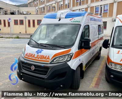 Fiat Ducato X290
Ambulanza Dimostrativa 
Parole chiave: Fiat Ducato_X290 Ambulanza