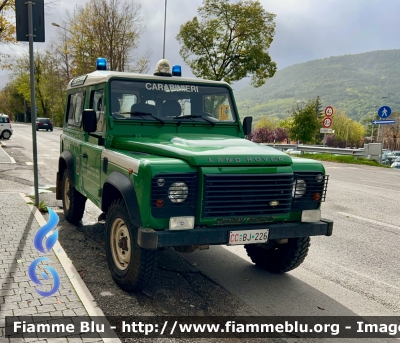 Land-Rover Defender 90
Carabinieri 
Comando Carabinieri Unità per la Tutela Forestale Ambientale ed Agroalimentare 
Parco Nazionale Del Gran Sasso e Monti della Laga
CC BJ 226 
Parole chiave: Land-Rover Defender_90 CCBJ226