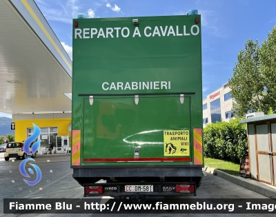 Iveco Daily IV serie 
Carabinieri 
Comando Carabinieri Unità per la Tutela Forestale Ambientale ed Agroalimentare 
Reparto a Cavallo 
CC DM 581
Parole chiave: Iveco Daily_IVserie CCDM581