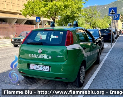 Fiat Grande Punto 
Carabinieri 
Comando Carabinieri Unità per la Tutela Forestale Ambientale ed Agroalimentare 
CC DM 525
Parole chiave: Fiat Grande_Punto CCDM525