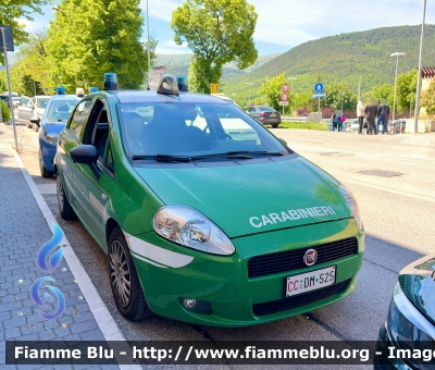 Fiat Grande Punto 
Carabinieri 
Comando Carabinieri Unità per la Tutela Forestale Ambientale ed Agroalimentare 
CC DM 525
Parole chiave: Fiat Grande_Punto CCDM525