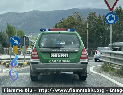 Subaru Forester III serie 
Carabinieri 
Comando Carabinieri Unità per la Tutela Forestale Ambientale ed Agroalimentare 
CC DM 609
Parole chiave: Subaru Forester_IIIserie CCDM609