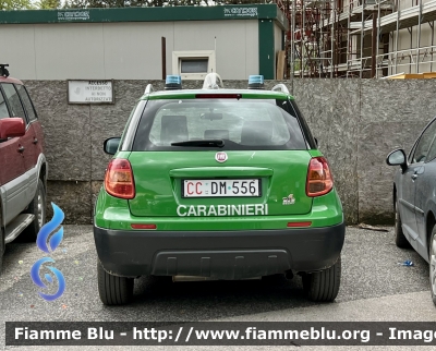 Fiat Sedici Restyle 
Carabinieri 
Comando Carabinieri Unità per la Tutela Forestale Ambientale ed Agroalimentare 
CC DM 556
Parole chiave: Fiat Sedici_restyle CCDM556