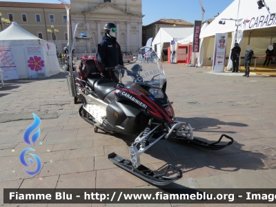 Yamaha Venture Multi Purpose
Carabinieri
Soccorso Alpino
Parole chiave: Yamaha Venture_Multi_Purpose