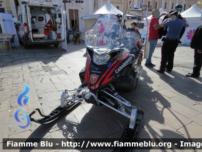 Yamaha Venture Multi Purpose
Carabinieri
Soccorso Alpino
Parole chiave: Yamaha Venture_Multi_Purpose