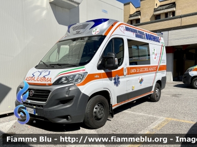 Fiat Ducato X290
Pubblica Assistenza di Montereale 
Allestimento ODONE 
Parole chiave: Fiat Ducato X290 Ambulanza