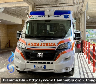 Fiat Ducato X290 Restyle 
Pubblica Assistenza 
Croce Bianca L’Aquila 
Allestimento Mariani Fratelli 
Parole chiave: Fiat Ducato_X290_Restyle Ambulanza