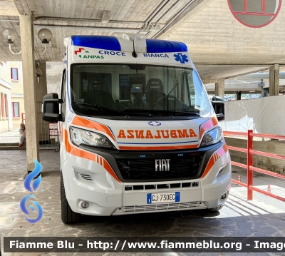 Fiat Ducato X290 Restyle 
Pubblica Assistenza 
Croce Bianca L’Aquila 
Allestimento Mariani Fratelli 
Parole chiave: Fiat Ducato_X290_Restyle Ambulanza