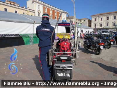 Yamaha Venture Multi Purpose
Carabinieri
Soccorso Alpino
Parole chiave: Yamaha Venture_Multi_Purpose