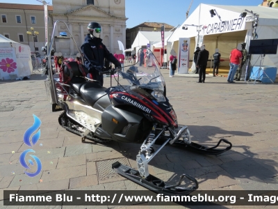 Yamaha Venture Multi Purpose
Carabinieri
Soccorso Alpino
Parole chiave: Yamaha Venture_Multi_Purpose