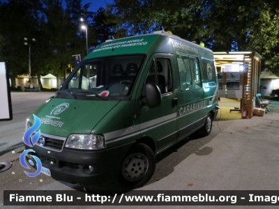 Fiat Ducato III serie 
Carabinieri 
Comando Carabinieri Unita Per la Tutela Forestale Ambientale ed Agroalimentare
Laboratorio Mobile Monitoraggio Faunistico
CC DN 682
Parole chiave: Fiat Ducato_IIIserie CCDN682