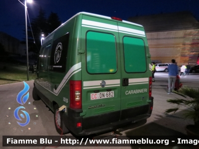 Fiat Ducato III serie 
Carabinieri 
Comando Carabinieri Unita Per la Tutela Forestale Ambientale ed Agroalimentare
Laboratorio Mobile Monitoraggio Faunistico
CC DN 682
Parole chiave: Fiat Ducato_IIIserie CCDN682