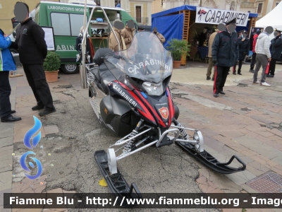 Yamaha Venture Multi Purpose
Carabinieri
Soccorso Alpino
Parole chiave: Yamaha Venture_Multi_Purpose