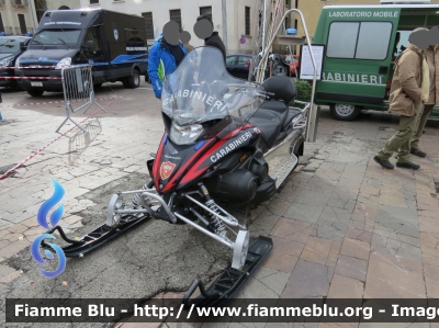 Yamaha Venture Multi Purpose
Carabinieri
Soccorso Alpino
Parole chiave: Yamaha Venture_Multi_Purpose