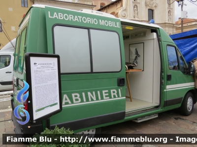 Fiat Ducato III serie 
Carabinieri
Comando Carabinieri Unità per la Tutela Forestale Ambientale Ed Agroalimentare
Reparto Carabinieri Biodiversità
Laboratorio Mobile 
CC DN 682
Parole chiave: Fiat Ducato_IIIserie CCDN682