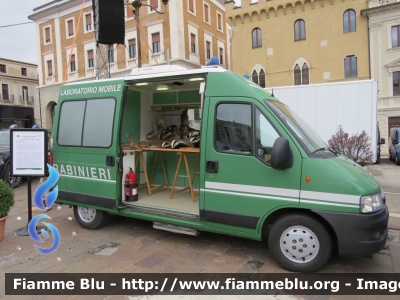 Fiat Ducato III serie 
Carabinieri
Comando Carabinieri Unità per la Tutela Forestale Ambientale Ed Agroalimentare
Reparto Carabinieri Biodiversità
Laboratorio Mobile 
CC DN 682
Parole chiave: Fiat Ducato_IIIserie CCDN682