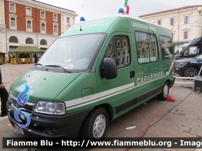 Fiat Ducato III serie 
Carabinieri
Comando Carabinieri Unità per la Tutela Forestale Ambientale Ed Agroalimentare
Reparto Carabinieri Biodiversità
Laboratorio Mobile 
CC DN 682
Parole chiave: Fiat Ducato_IIIserie CCDN682