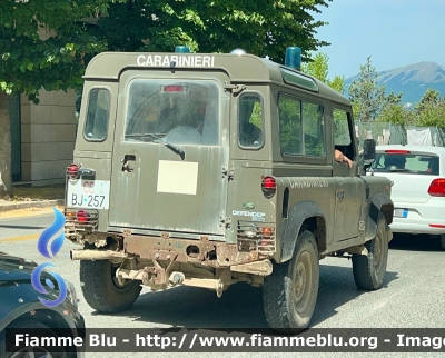 Land Rover Defender 90
Carabinieri 
Comando Carabinieri Unità per la Tutela Forestale Ambientale ed Agroalimentare 
CC BJ 257 
Parole chiave: Land-Rover Defender_90 CCBJ257