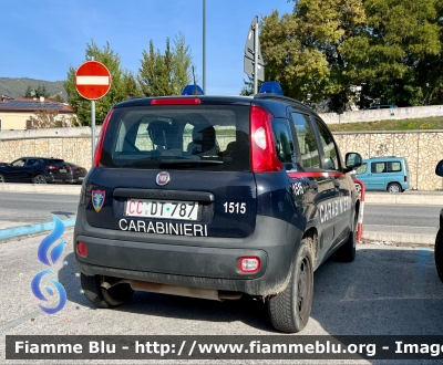 Fiat Nuova Panda 4x4 II serie 
Carabinieri
Comando Carabinieri Unità per la Tutela Forestale Ambientale ed Agroalimentare 
CC DT 787
Parole chiave: Fiat Nuova_Panda_4x4_IIserie CCDT787