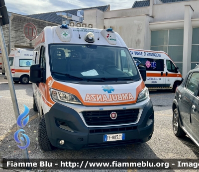 Fiat Ducato X290
Pubblica Assistenza Croce Verde Avezzano Soccorso 
Allestimento Orion
Parole chiave: Fiat Ducato_X290 Ambulanza