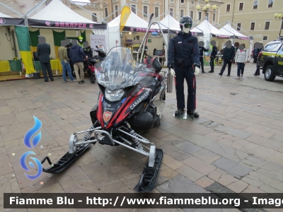 Yamaha Venture Multi Purpose
Carabinieri
Soccorso Alpino
Parole chiave: Yamaha Venture_Multi_Purpose