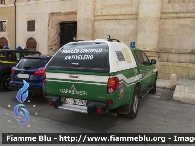 Mitsubishi L200 IV serie
Carabinieri
Comando Carabinieri Unità per la Tutela Forestale Ambientale ed Agroalimentare
Nucleo Cinofilo Antiveleno (NCA)
CC DP 838
Parole chiave: Mitsubishi L200_IVserie CCDP838