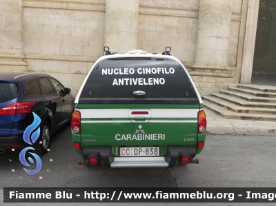 Mitsubishi L200 IV serie
Carabinieri
Comando Carabinieri Unità per la Tutela Forestale Ambientale ed Agroalimentare
Nucleo Cinofilo Antiveleno (NCA)
CC DP 838
Parole chiave: Mitsubishi L200_IVserie CCDP838